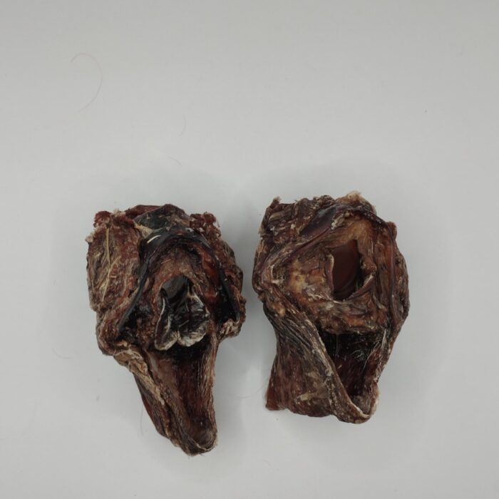 Beef larynx 2